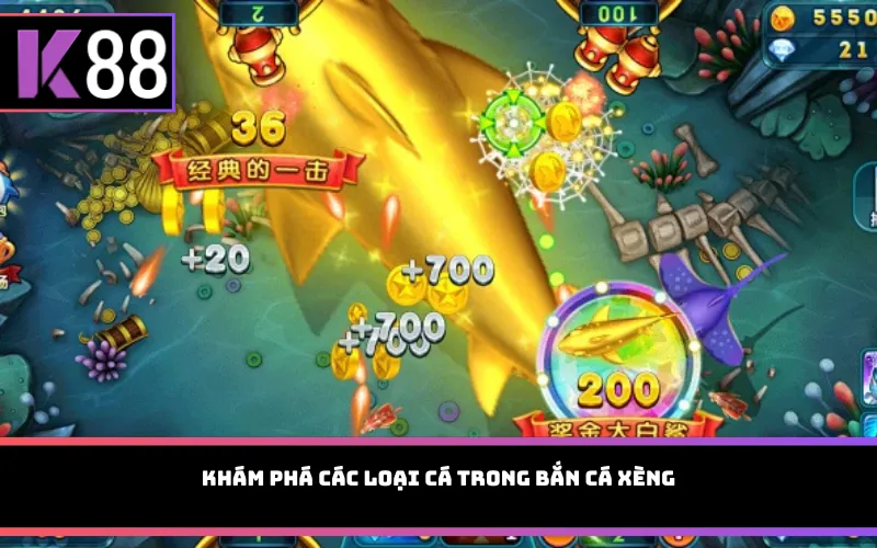 Khám phá các loại cá trong Bắn cá xèng